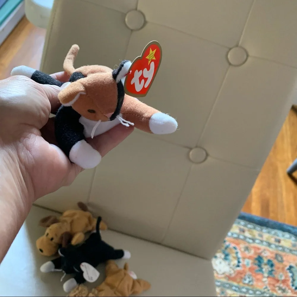 4 Teenie Beanie Baby Dogs & Cats